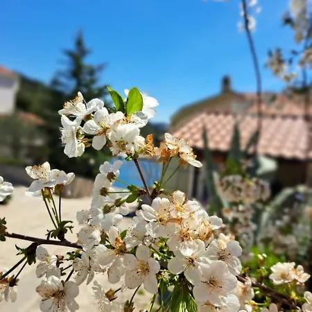 Roberto Apartman Bacina