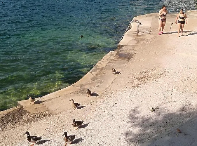 Roberto Appartement *