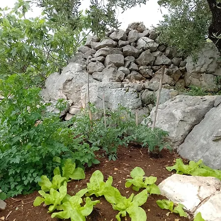 Lägenhet Roberto Bacina