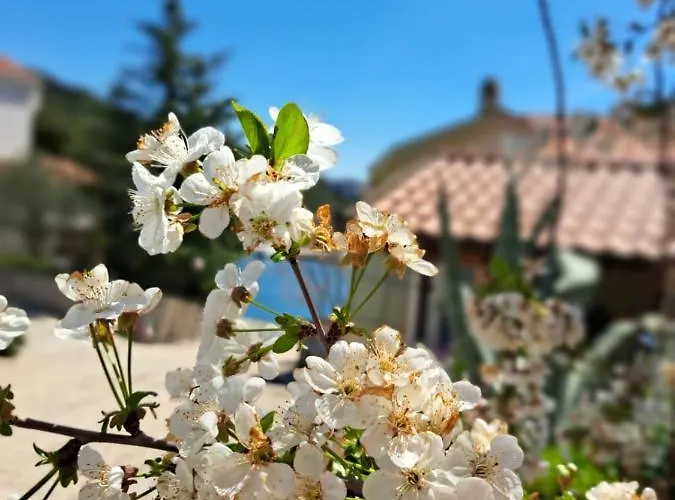 Roberto 公寓 Bacina