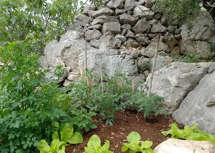 Lägenhet Roberto Bacina